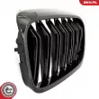 ESEN SKV 66SKV193 - Grille de radiateur