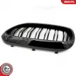 ESEN SKV 66SKV193 - Grille de radiateur