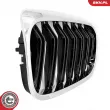 ESEN SKV 66SKV196 - Grille de radiateur