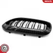 ESEN SKV 66SKV197 - Grille de radiateur