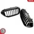 ESEN SKV 66SKV198 - Grille de radiateur
