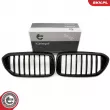 ESEN SKV 66SKV199 - Grille de radiateur