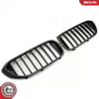 ESEN SKV 66SKV199 - Grille de radiateur