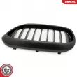 ESEN SKV 66SKV199 - Grille de radiateur