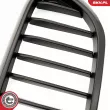 ESEN SKV 66SKV199 - Grille de radiateur