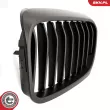 ESEN SKV 66SKV199 - Grille de radiateur