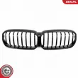 ESEN SKV 66SKV201 - Grille de radiateur