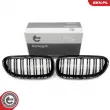 ESEN SKV 66SKV205 - Grille de radiateur
