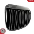 ESEN SKV 66SKV205 - Grille de radiateur
