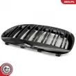ESEN SKV 66SKV205 - Grille de radiateur