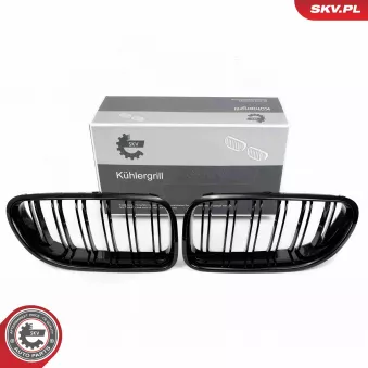 Grille de radiateur ESEN SKV 66SKV206 pour BMW Série 6 640 i - 320cv