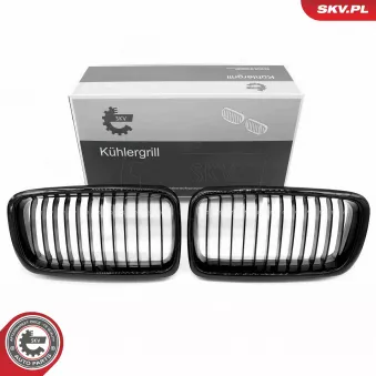 Grille de radiateur ESEN SKV OEM 51138125811