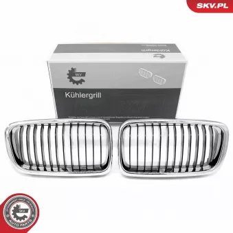 Grille de radiateur ESEN SKV OEM 51138125811