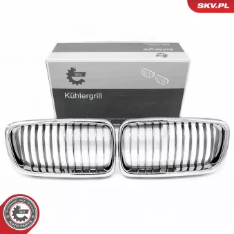 Grille de radiateur ESEN SKV OEM 51138125811