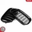 ESEN SKV 66SKV219 - Grille de radiateur