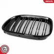 ESEN SKV 66SKV219 - Grille de radiateur