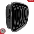 ESEN SKV 66SKV219 - Grille de radiateur