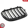 ESEN SKV 66SKV233 - Grille de radiateur