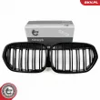 ESEN SKV 66SKV243 - Grille de radiateur