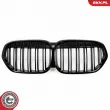 ESEN SKV 66SKV243 - Grille de radiateur