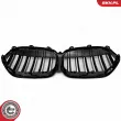 ESEN SKV 66SKV243 - Grille de radiateur