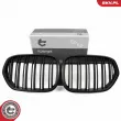 ESEN SKV 66SKV244 - Grille de radiateur