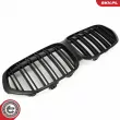 ESEN SKV 66SKV244 - Grille de radiateur