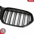 ESEN SKV 66SKV244 - Grille de radiateur