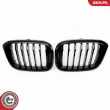 ESEN SKV 66SKV260 - Grille de radiateur