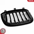 ESEN SKV 66SKV260 - Grille de radiateur