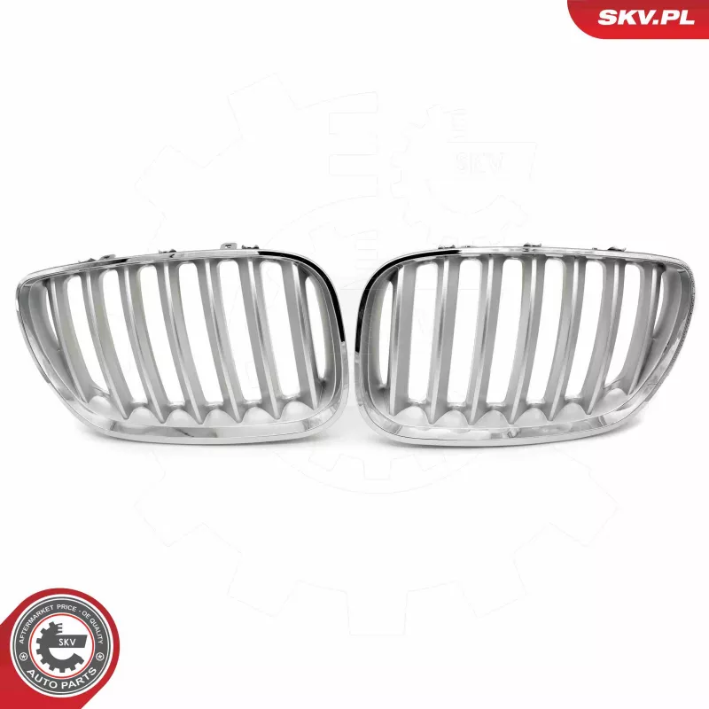 Grille de radiateur ESEN SKV 66SKV279 - Visuel 1