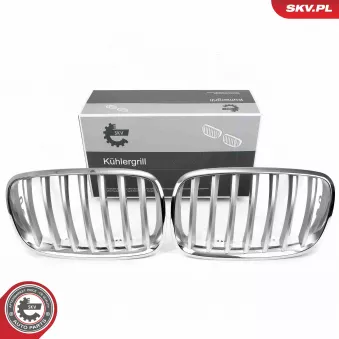 Grille de radiateur ESEN SKV 66SKV285 pour BMW X5 xDrive 48 i - 355cv