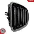 ESEN SKV 66SKV290 - Grille de radiateur