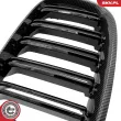 ESEN SKV 66SKV290 - Grille de radiateur