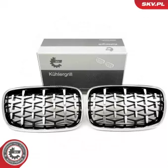 Grille de radiateur ESEN SKV 66SKV293 pour BMW X5 xDrive 48 i - 355cv