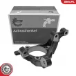 ESEN SKV 73SKV282 - Fusée d'essieu, suspension de roue avant droit