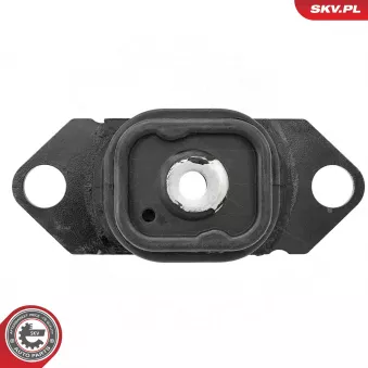 Support De Moteur Droit Pour Renault Scenic II 1.5 DCI - Références 8200424898, 8200902955