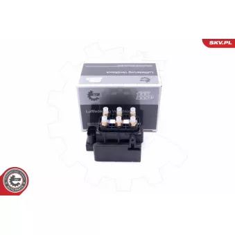ESEN SKV 93SKV800 - Valve, système d'air comprimé