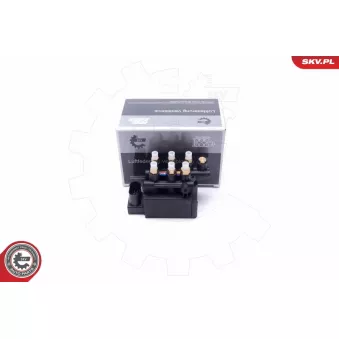 Valve, système d'air comprimé ESEN SKV OEM 6861882