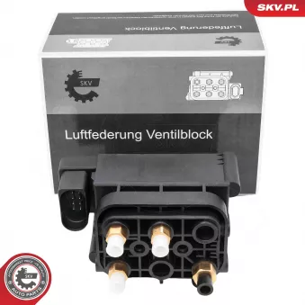 ESEN SKV 93SKV819 - Valve, système d'air comprimé