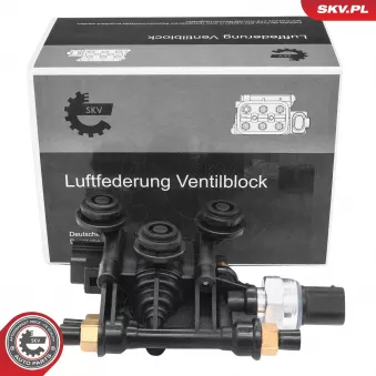 ESEN SKV 93SKV823 - Valve, système d'air comprimé