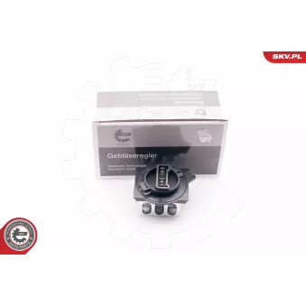 Résistance, pulseur d'air habitacle ESEN SKV 94SKV014 pour PEUGEOT PARTNER 1.4 - 73cv