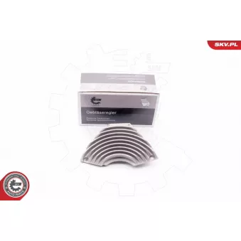 Résistance, pulseur d'air habitacle ESEN SKV 94SKV020 pour VOLKSWAGEN PASSAT 1.9 TDI - 110cv