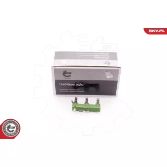 Résistance, pulseur d'air habitacle ESEN SKV 94SKV054 pour DACIA SANDERO 1.1 - 50cv