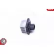 ESEN SKV 94SKV085 - Résistance, pulseur d'air habitacle