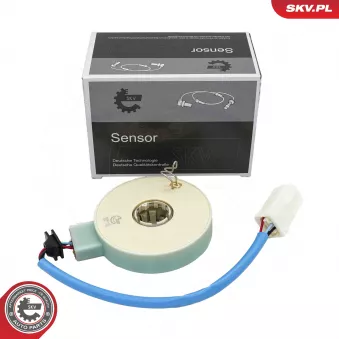 ESEN SKV 95SKV225 - Détecteur de l'angle de braquage