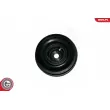 ESEN SKV 95SKV316 - Poulie, vilebrequin