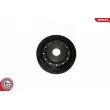 ESEN SKV 95SKV323 - Poulie, vilebrequin