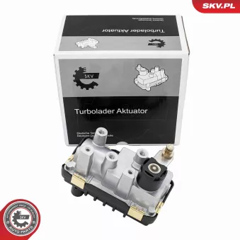 Détendeur de suralimentation ESEN SKV OEM A6420901080