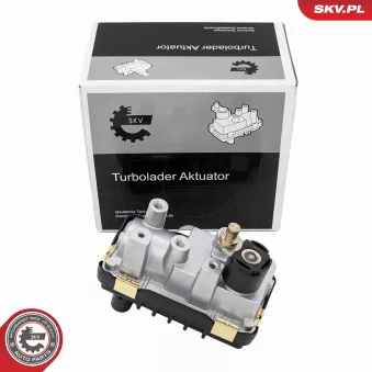 Détendeur de suralimentation ESEN SKV OEM 7796313G07